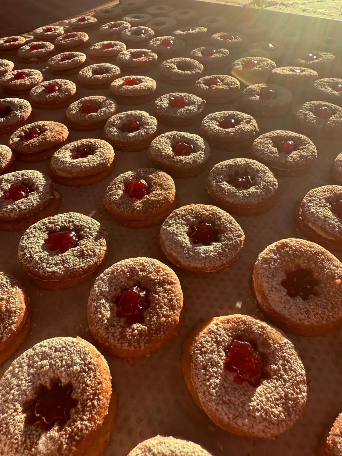 Ein Blech Spitzbuben mit roter Marmelade im warmen Gegenlicht